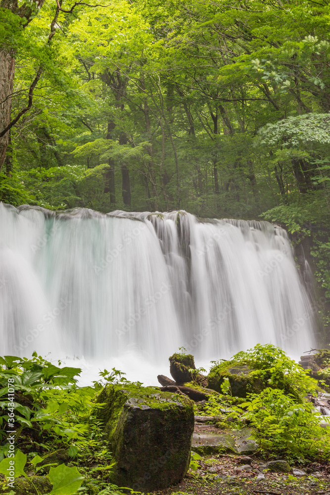 Obraz premium Oirase mountain stream in early summer
