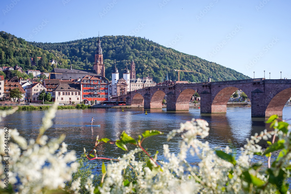 Daytime picture of the famous city Heidelberg in Germamy with many tourist attractions