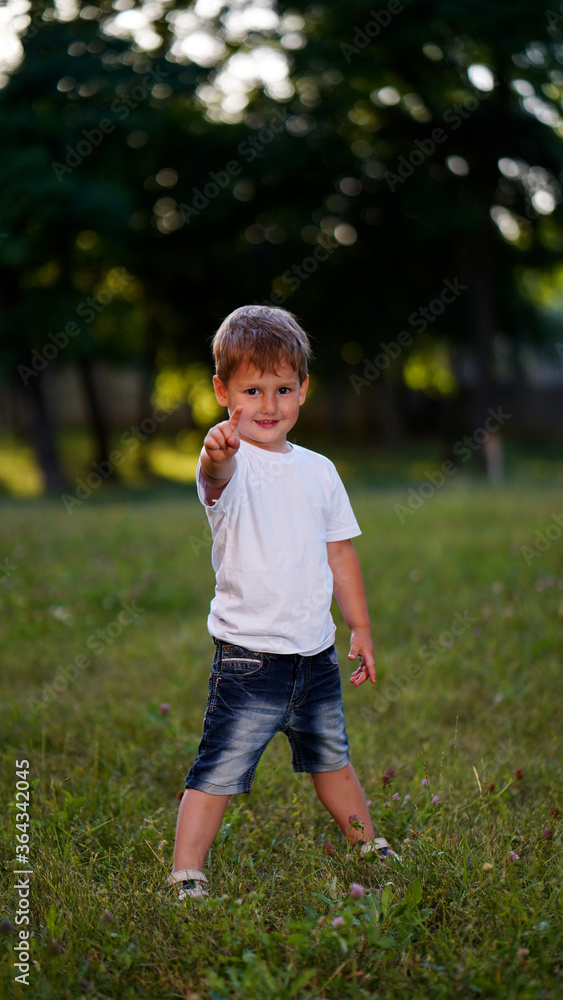 Portrait of cute little boy pointing finger in summer park Portrait of cute little boy pointing finger in summer park