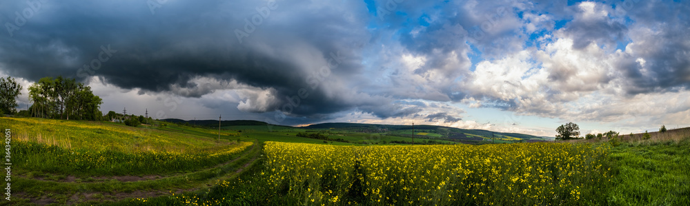 Spring yellow flowering rapeseed fields, ground road, dramatic cloudy sky with circular thunderstorm cloud and green rural hills panorama. Natural seasonal, farming, climate, countryside beauty scene.