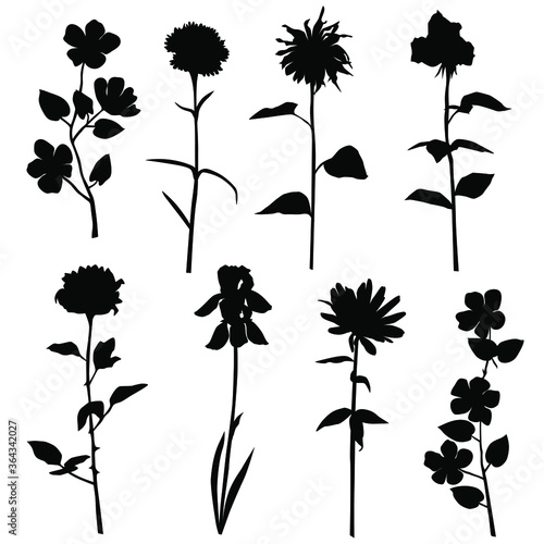 Set of silhouette flowers rose, Daisy, chamomile, carnation, Apple or cherry branch, spring-summer forest and garden field flower, black color isolated on a white background