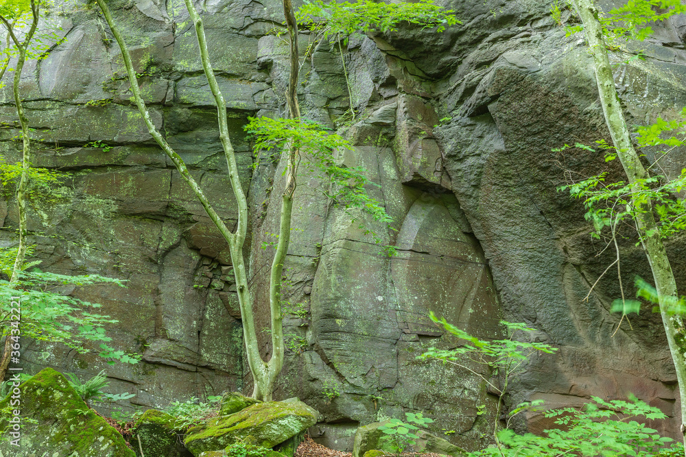 Fototapeta premium Oirase mountain stream in early summer