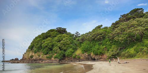 Natural beach with lonely man in New Zealand