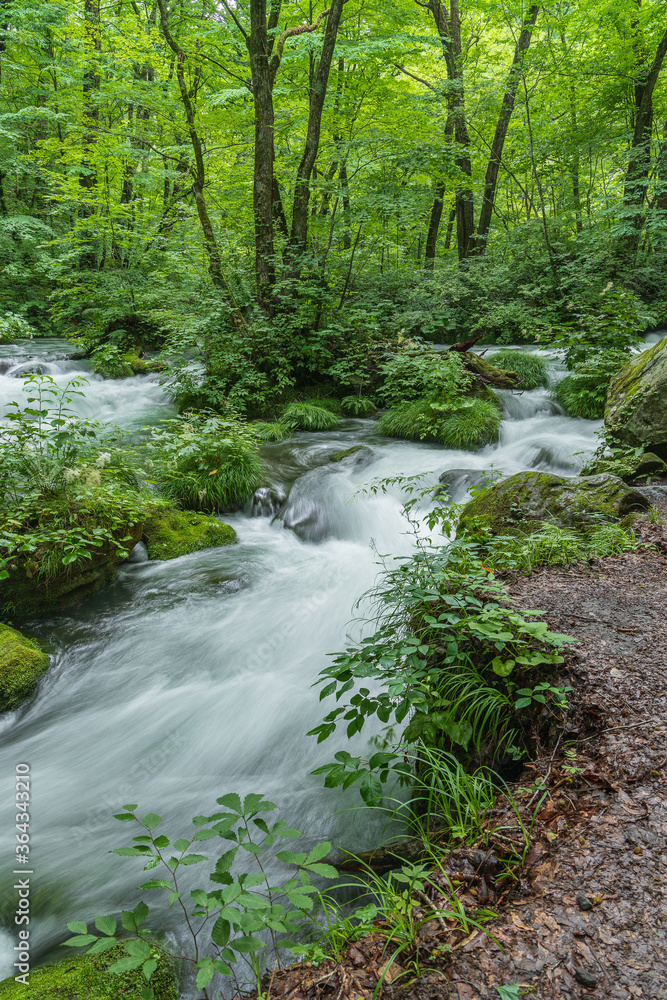 Oirase mountain stream in early summer