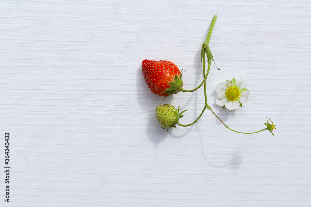 Fotografie Sweet strawberries on light background with copy space.