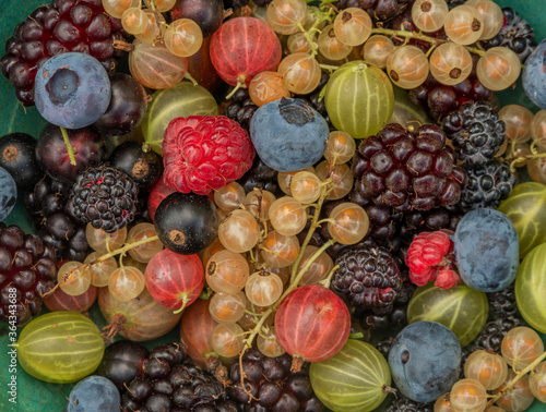 Mixed color garden fruit on wooden brown table and orange and green dish