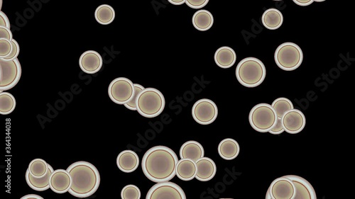 black and white blood cells flowing