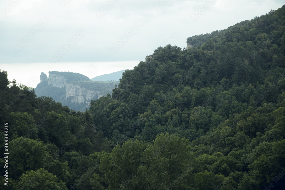 RUPIT I PRUIT, SPAIN - JULY, 2020: Views of the green forest and the Rupit mountains in Catalonia