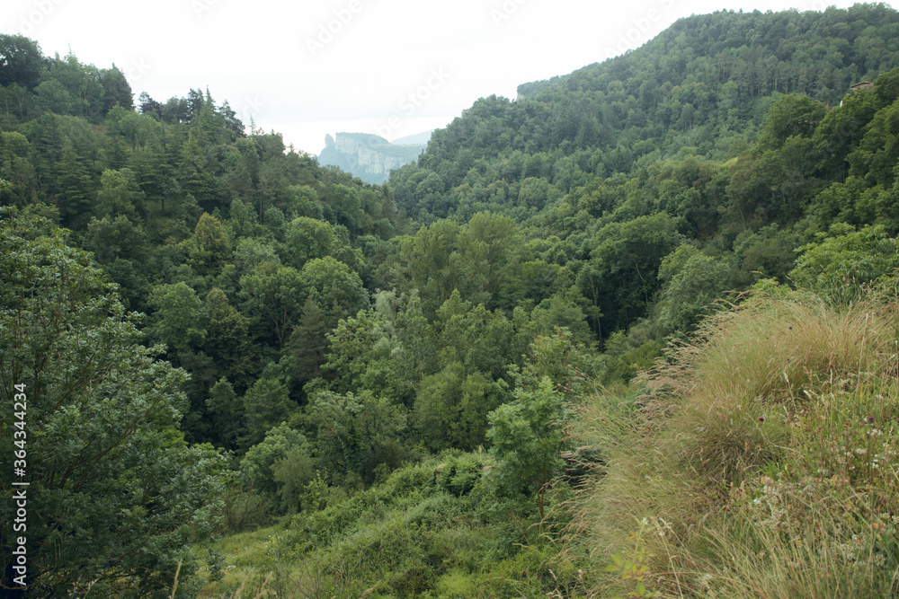 RUPIT and PRUIT, SPAIN - JULY, 2020: Views of the green forest and the Rupit mountains in Catalonia