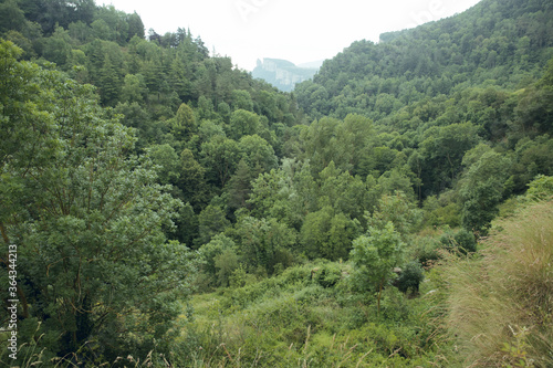 RUPIT and PRUIT, SPAIN - JULY, 2020: Views of the green forest and the Rupit mountains in Catalonia.