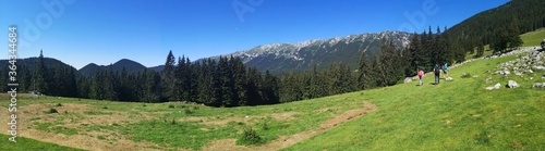 Mountain landscape in the summer with blue sky - panormic view  © dianacoman