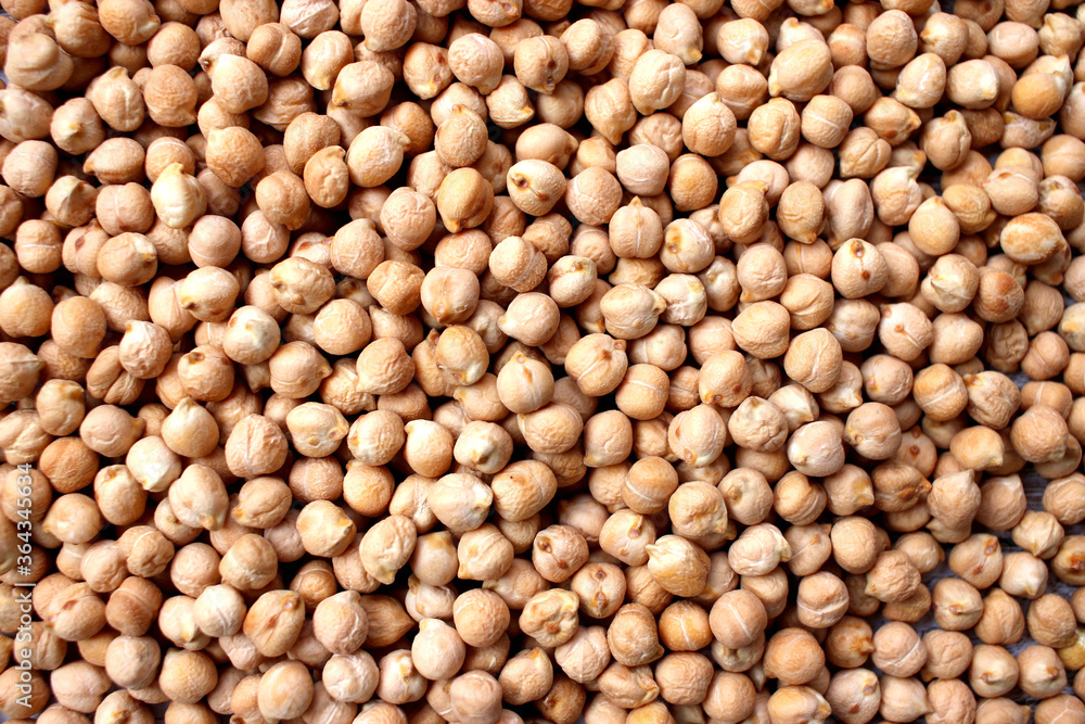 uncooked fresh chickpeas on background. small dry chickpeas uncooked fresh chickpeas on background. small dry chickpeas