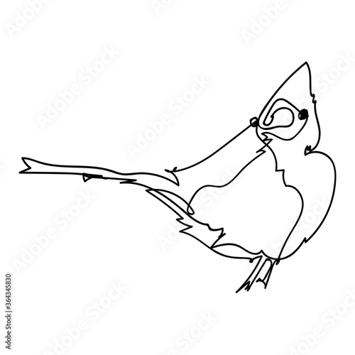 Single line bbird illustration