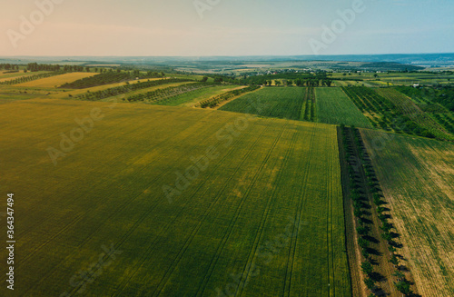 Aerial drone photo of some fields with crops and trees.