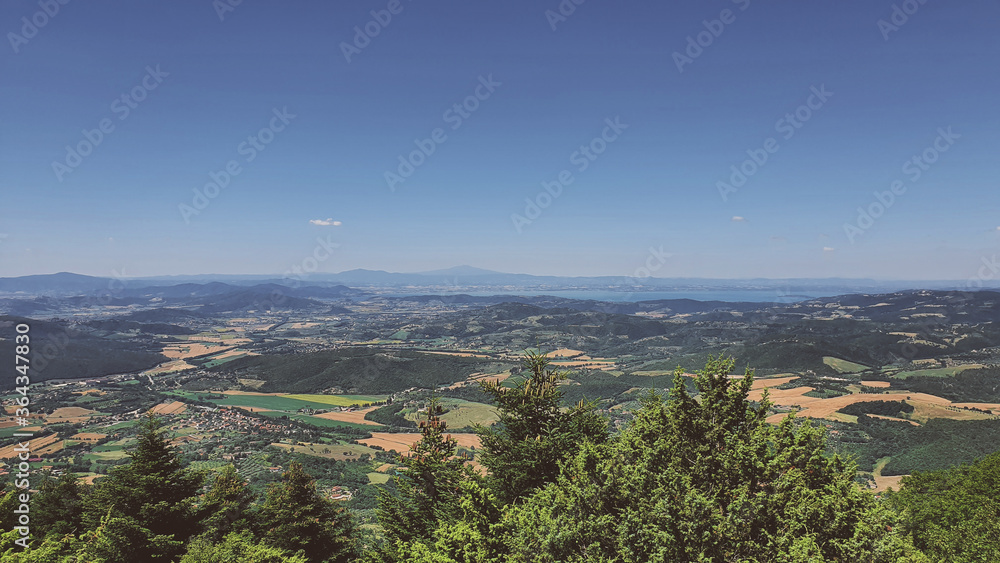 Summer landscape from 