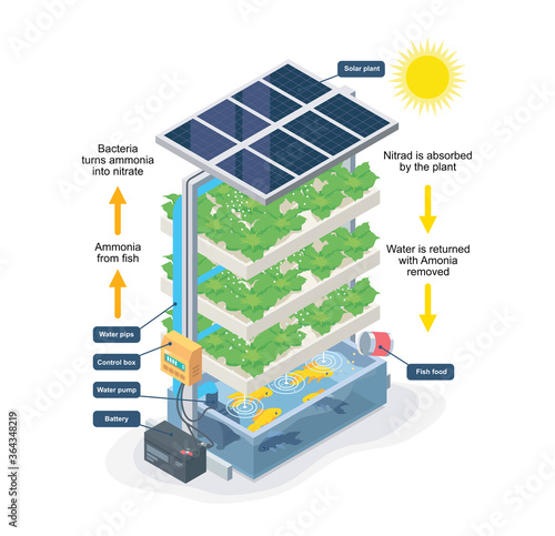 aquaponic system smart farming isometric