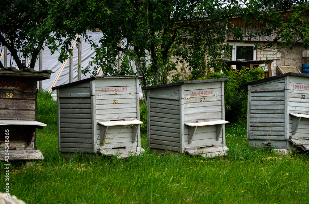 Wooden houses for bees in the countryside. Bee hives. Wooden houses for bees in the countryside. Bee hives.