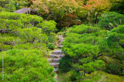 Japanese garden