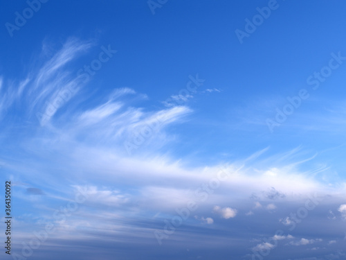 Fototapeta Naklejka Na Ścianę i Meble -  Beautiful picturesque unusual white feather clouds in the blue sky, magic romantic background. Large Bird Feather Cloud