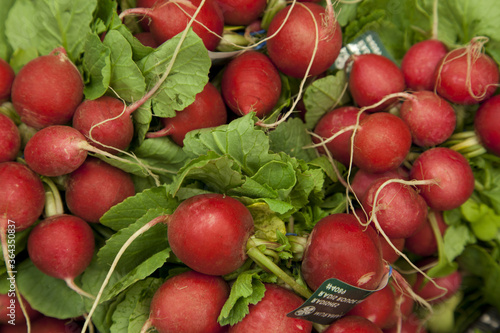 Close-up of raw radish on display in market