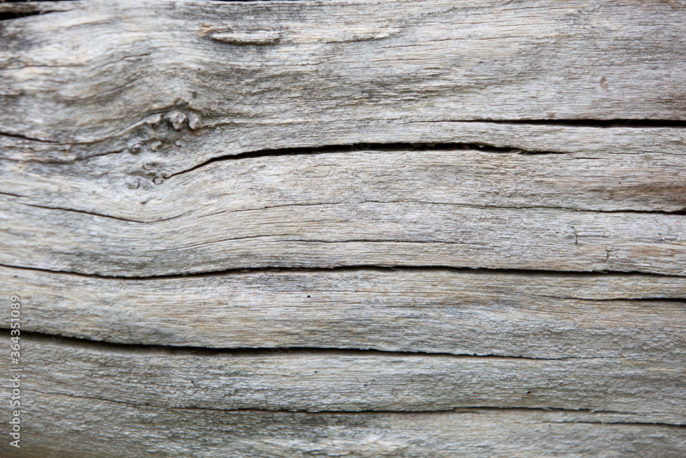 Close up of cracked wood background Close up of cracked wood background