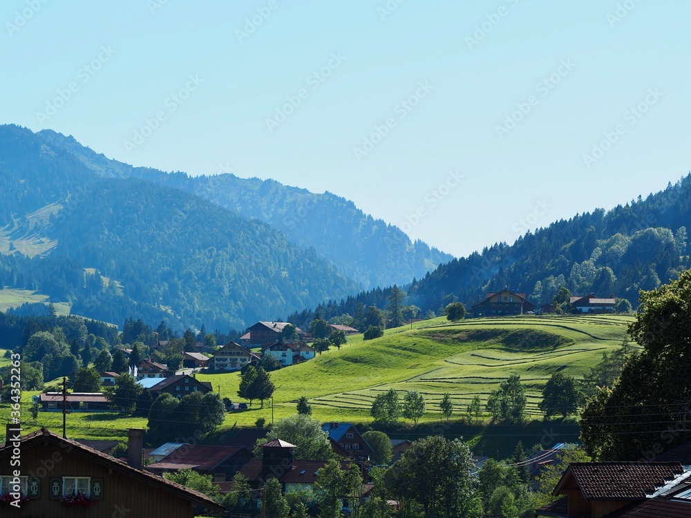 tranquil landscape with forest and meadow in the Bavarian Alps