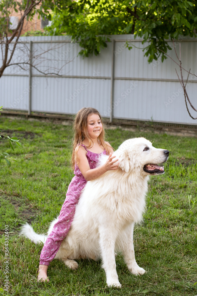 a sweet smiling girl of seven with her friend a Maremma dog on a green lawn a sweet smiling girl of seven with her friend a Maremma dog on a green lawn