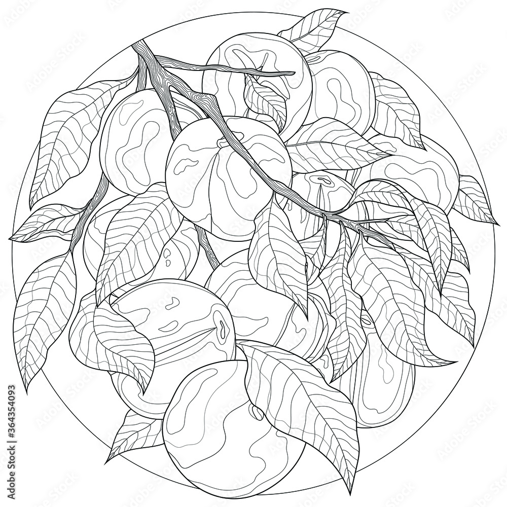 Obraz premium Fruits.Peaches on a branch. Tasty sweets.Coloring book antistress for children and adults. Zen-tangle style.Black and white drawing