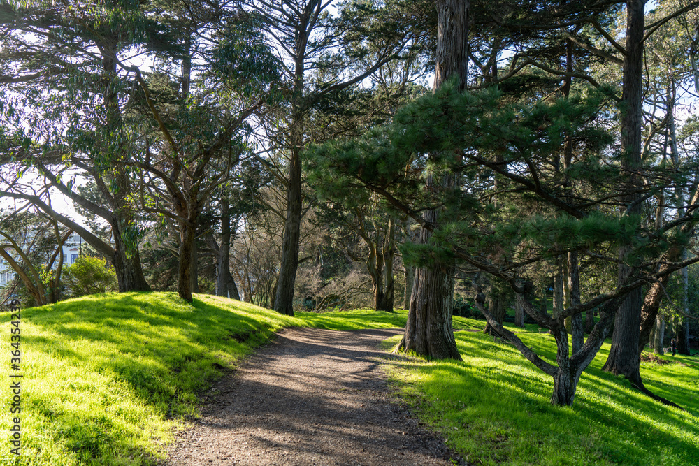 Beautiful trail in Golden Gate Park in San Francisco, California, USA.