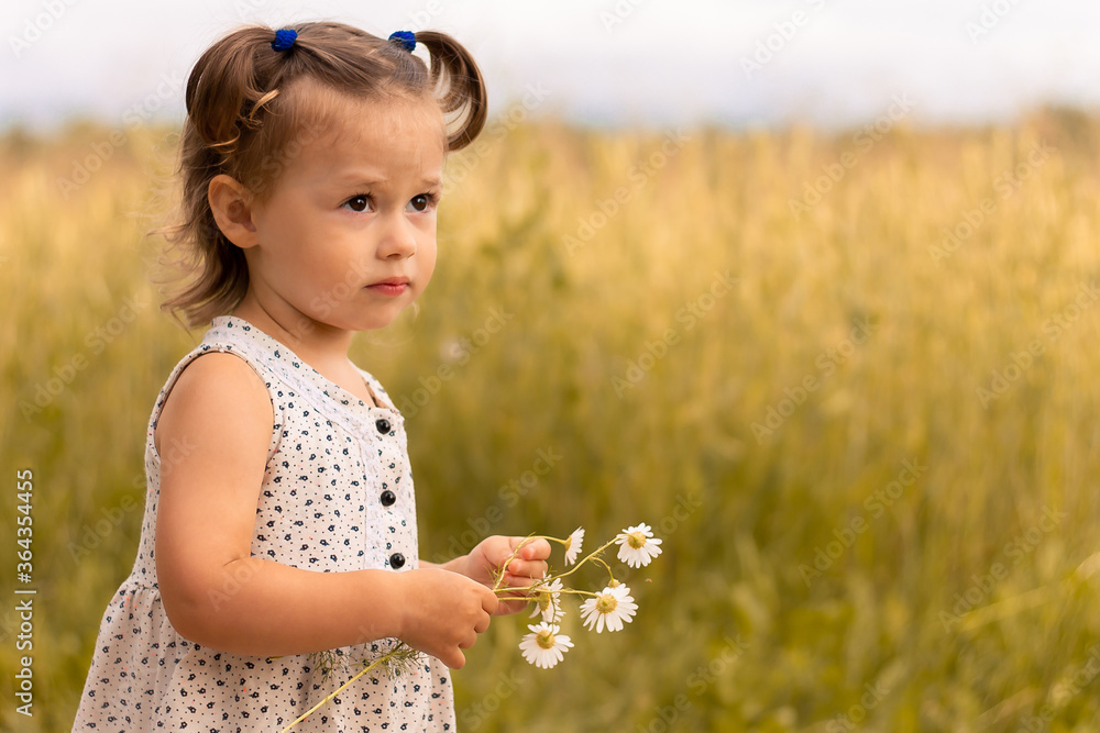 Little cute girl 1-3 in a light dress stands in the field of spikelets of rye with a bouquet of daisies Little cute girl 1-3 in a light dress stands in the field of spikelets of rye with a bouquet of daisies