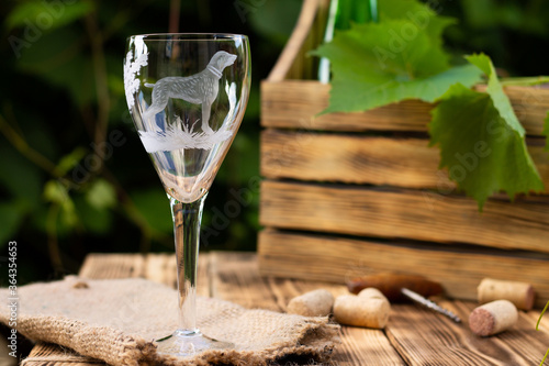 Bilde på lerret Wine glass with a sandblasted dog with a box for wine and a vine against a background of greenery
