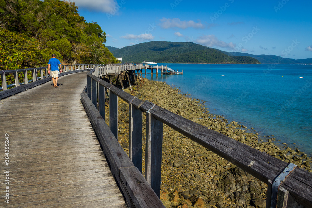 Obraz premium Man walking. Wooden boardwalk on sunny rocky shores. Daytime, Long Island, Queensland, Australia. 