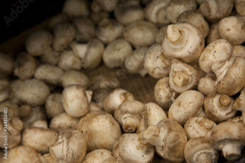 Close-up of button mushrooms in grocery store