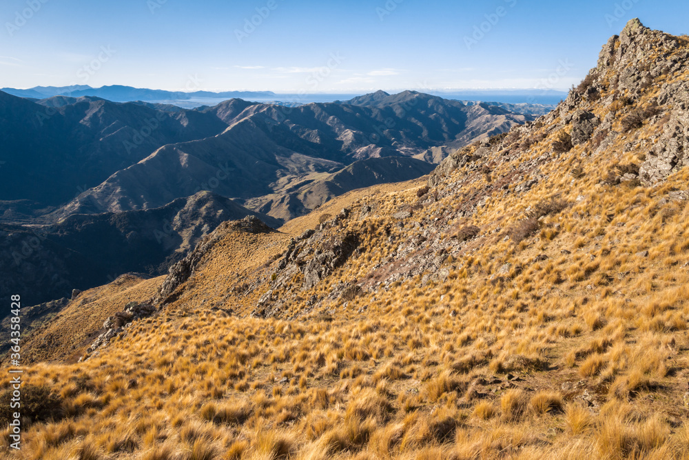 grassy slope above Awatere Valley in Marlborough region of South Island, New Zealand
