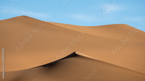 Golden sand dunes