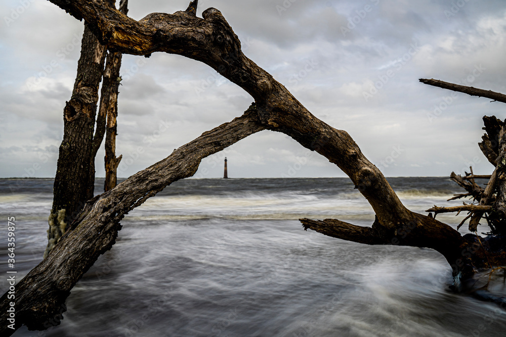 Folly Beach South Carolina