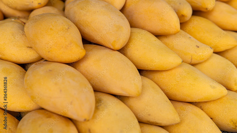 purchase of tropical fruits in the markets of Asia. Mango fruits for cooking and eating purchase of tropical fruits in the markets of Asia. Mango fruits for cooking and eating