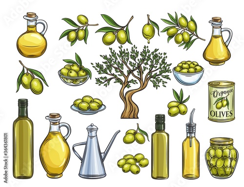 hand drawn olive oil and olives