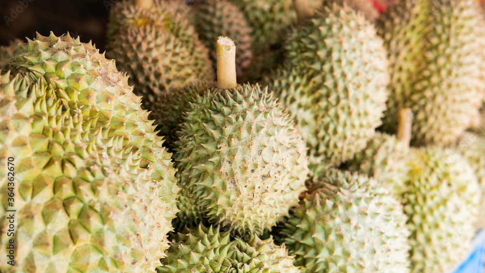 sale of durian fruits in Asian markets. The most popular and exotic fruit in the world. sale of durian fruits in Asian markets. The most popular and exotic fruit in the world.