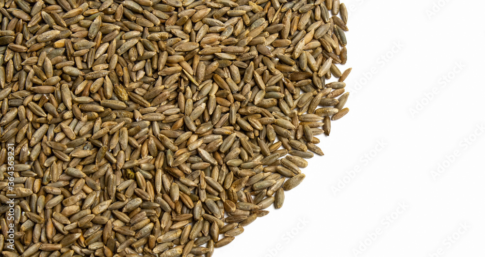 Grains of wheat, barley, rye, oats on white background close-up, natural dry grain in form of semicircle on the right side, seeds, isolated, top view. Free space for text. Banner for web site Grains of wheat, barley, rye, oats on white background close-up, natural dry grain in form of semicircle on the right side, seeds, isolated, top view. Free space for text. Banner for web site