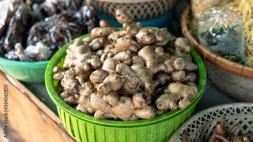 wholesale ginger to the world markets. Ginger - the most useful supplement for strengthening immunity