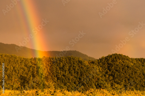 Rainbow touching of colors on a cloudy day breaking through the clouds and touching trees on the ground