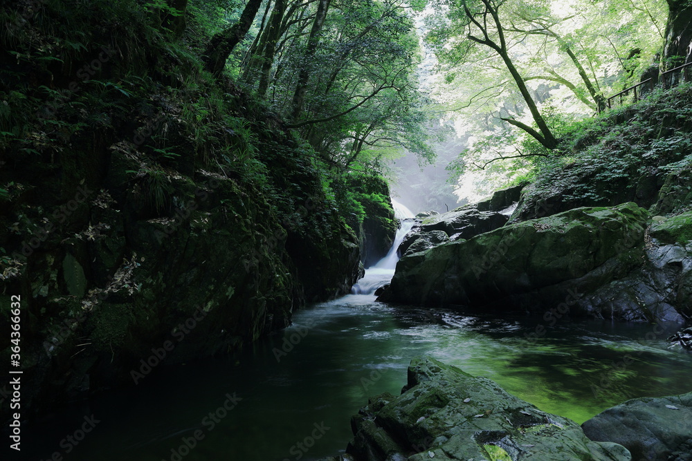 島根 八重滝渓谷 姫滝 島根 八重滝渓谷 姫滝