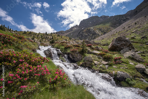 mountain landscape with thaw river surrounded by flowers and green pastures