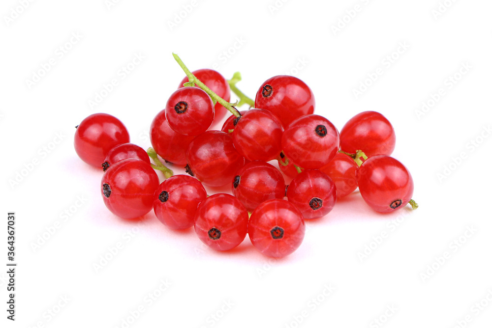 Red currant currant isolated on a white background. Ribes rubrum isolated. Ripe berries. Red currant currant isolated on a white background. Ribes rubrum isolated. Ripe berries.