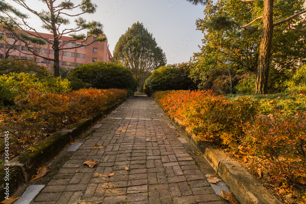 Park like setting with a brick walkway