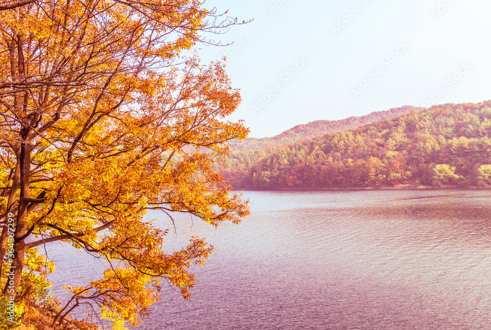 Lake with distant shore covered with lush foliage in fall colors Lake with distant shore covered with lush foliage in fall colors
