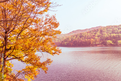 Lake with distant shore covered with lush foliage in fall colors