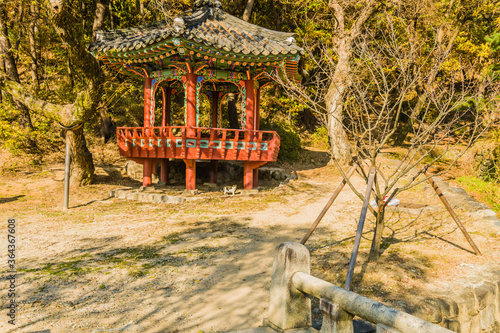 White cat in front of an oriental gazebo