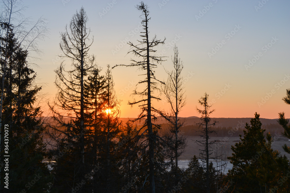 Sunset on a hill in the forest of Russia Sunset on a hill in the forest of Russia